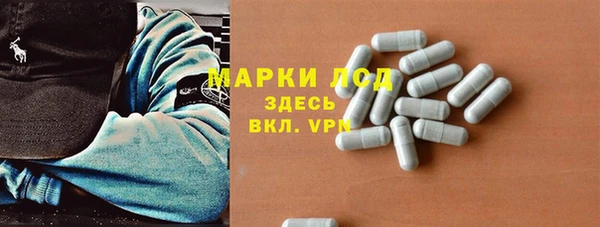прущий лед Алзамай