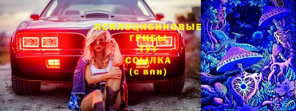 прущий лед Алзамай